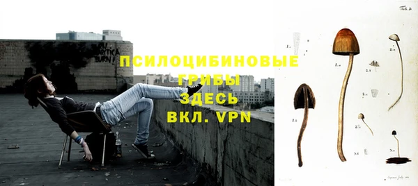 кокаин премиум Белокуриха
